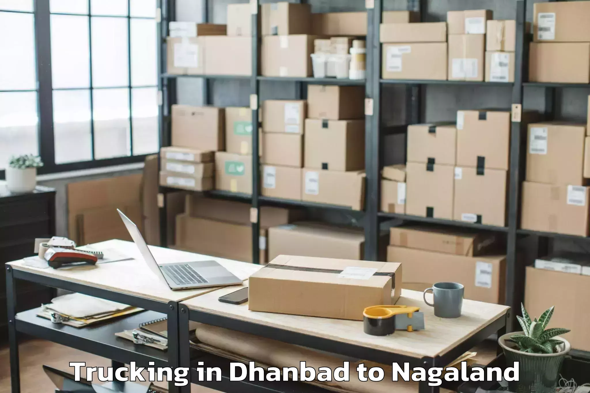 Affordable Dhanbad to Aghunato Trucking